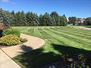 Lawn Striping, Cleveland, OH 